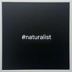 松田将英|#naturalist
